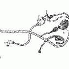 TRX250TM Wire harness (trx250tm)
