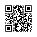 00402080001 Washer