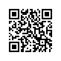 0123-439 WSHR,FLAT 21/32X1-1/8X.048 Z&Y