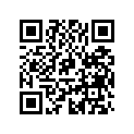 0125295 TERMINAL BULLET