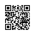 0125543 BRACKET