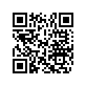 0172851 ARMATURE AY#00777