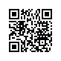 0204053 RING TERMINAL