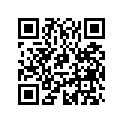 0215628 DECAL, EV & E-TEC