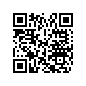 0215655 DECAL,EV FLAG