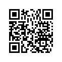 0285132 ( 300ple-300pxe Not Shown)