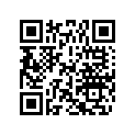 0306439 WASHER