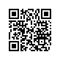 0307947 BUMPER