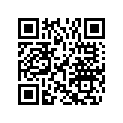 0313447 WASHER
