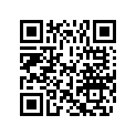 0313984 BUMPER