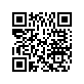 0318228 WASHER