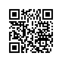0318384 WASHER-SHFT L