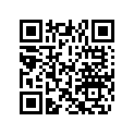 0321071 LEVER