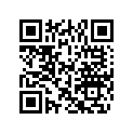 0322693 IGN KEY BLANK