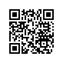0324623 PLUNGER