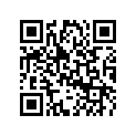 0324658 LEVER