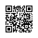 0324698 ORIFICE PLUG(#37)