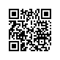 0325675 APPLIQUE-EV
