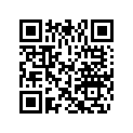 0325746 BUMPER