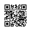 0326500 ORIFICE,.048