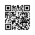 0326764 WRIST PIN