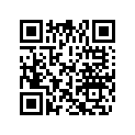 0327589 PIN - SHIFT LVR