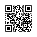 0327861 WRIST PIN