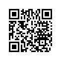 0328535 ORIFICE PLUG