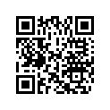 0328560 ORIFICE PLUG