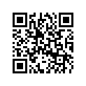 0328579 LEVER-SUPPORT