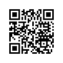 0328739 WASHER