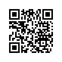 0328937 APPLIQUE