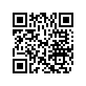 0329132 APPLIQUE