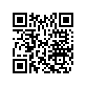 0330076 APPLIQUE
