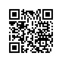 0332484 SPRING