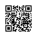 0333374 SHIM-EXTENSION