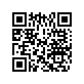 0333734 BRACKET
