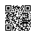 0333771 WASHER-THRUST