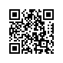 0333938 BRACKET