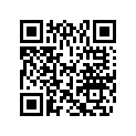 0334076 PLUG