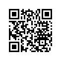0334557 PLATE