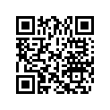 0339069 RIVET