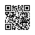 0340696 WASHER