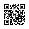 0344704 LEVER