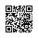 0346538 BRACKET