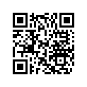 0382407 NEEDLE BRG