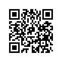 0384338 HDLE & SHFT A