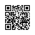 0387432 CCASE HD&BRG AY