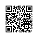 0389821 LVR PIN AY