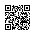0392319 FRICT PLT PAD BUSH